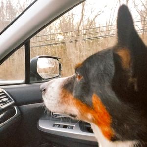 Meet your Posher, Russ